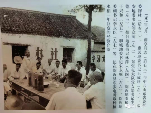 “三次稻改”的太平实践