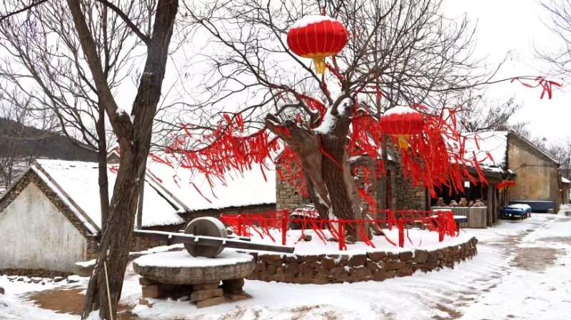微信图片_20240201145438.jpg