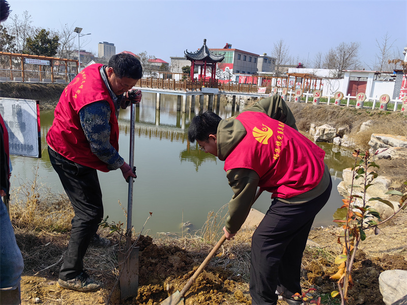 微信图片_20240312164203植树4.jpg