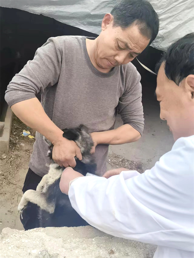 微信图片_20240410084027.jpg