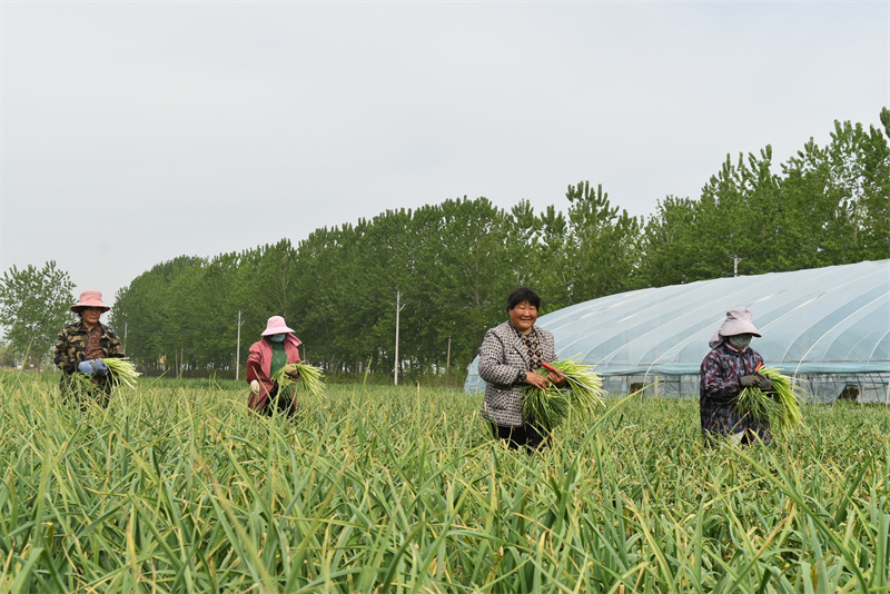 DSC_0047 - 复件(1).JPG