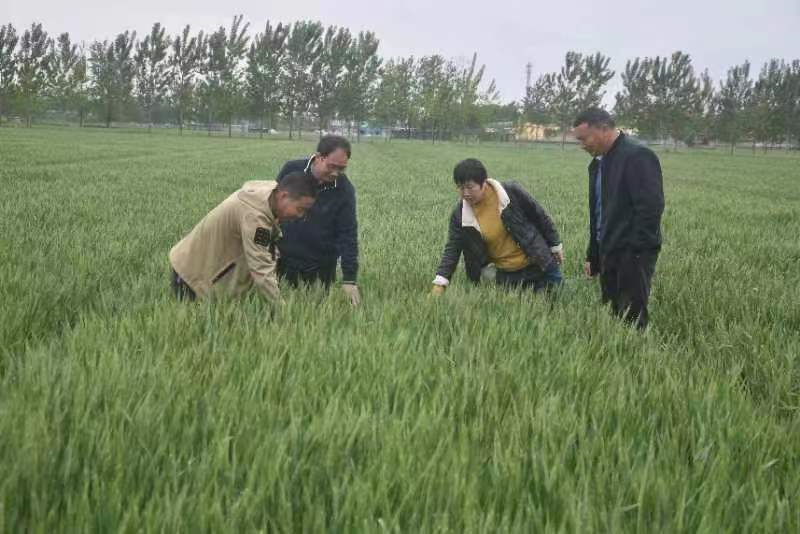 微信图片_20240417141431.jpg