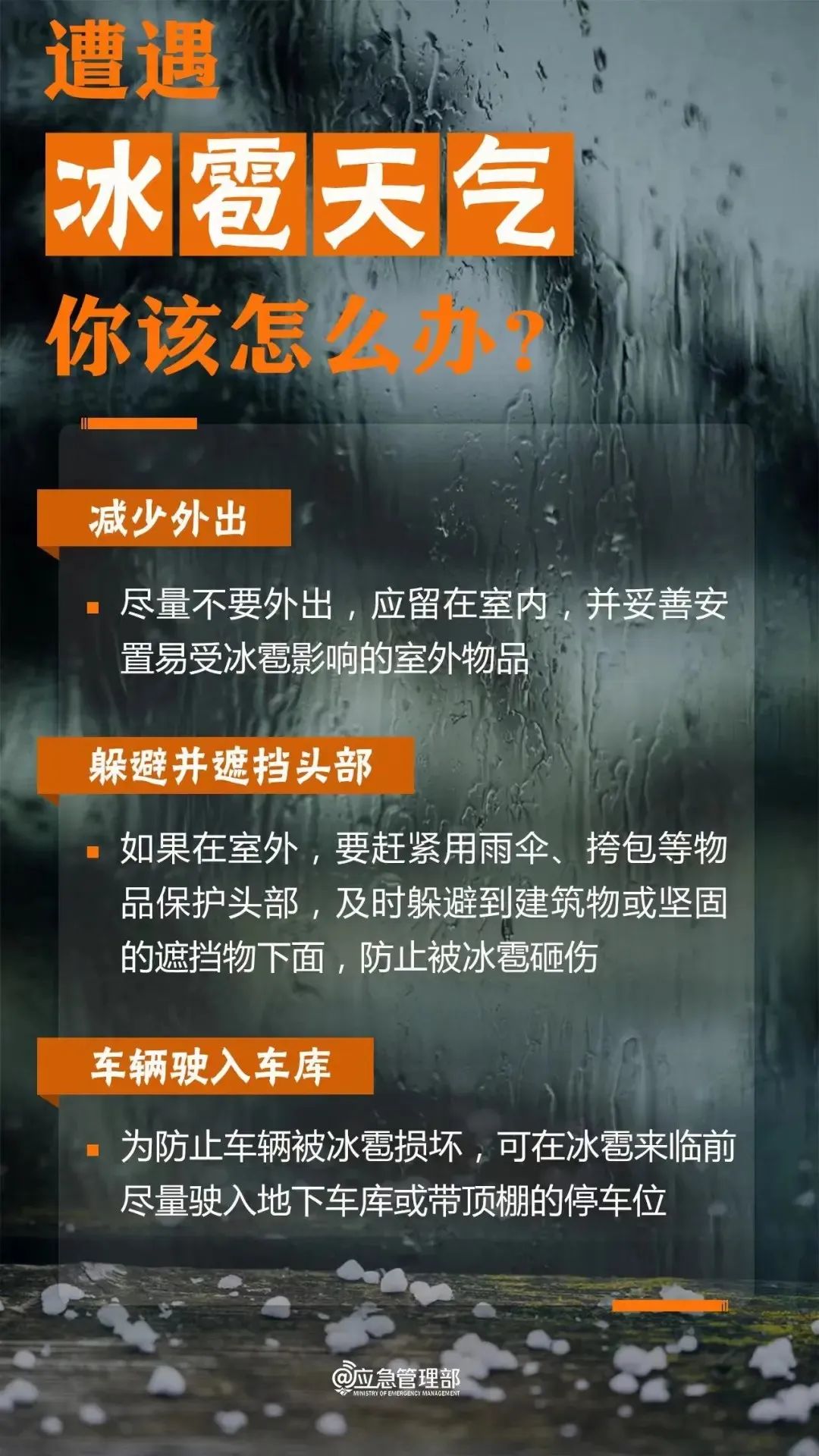 微信图片_20240423091828.jpg