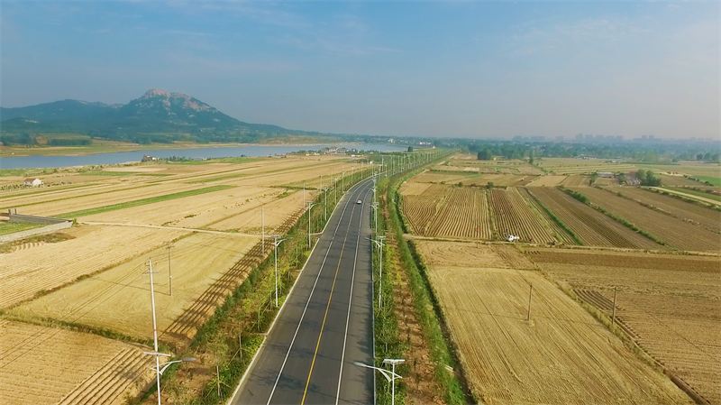 临沭县苍山北路.png