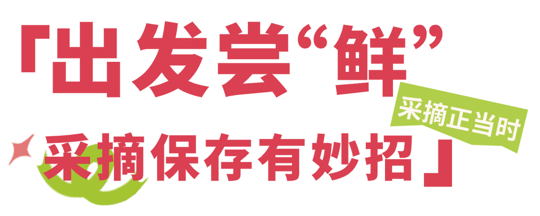 微信图片_20240520102210.png