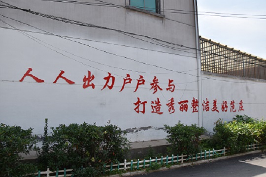 DSC_0401.JPG