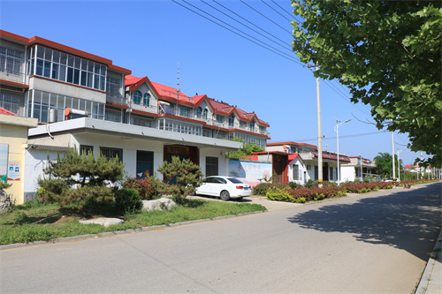 蒲三村街道 (1).JPG