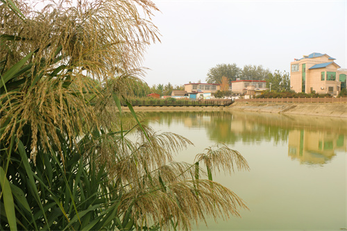 蒲汪湿地公园.JPG