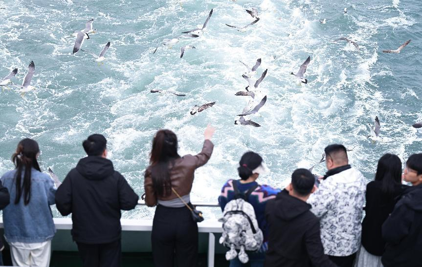 “山海之约·交换春天”网络大V采风青岛之行圆满结束_fororder_图片8