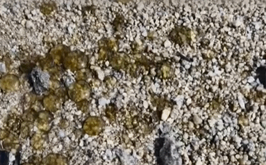 640.gif