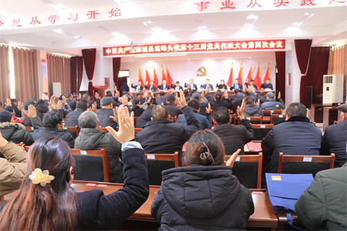 十三届四次党代会 (15).JPG