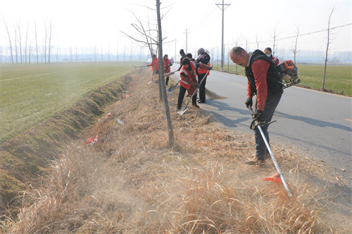 麦坡公路清理整治 066.JPG