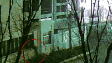 640.gif
