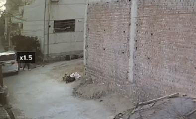 640.gif