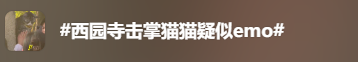 640 (11).png
