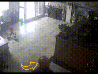 640 (1).gif
