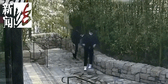 640.gif