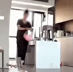 640.gif