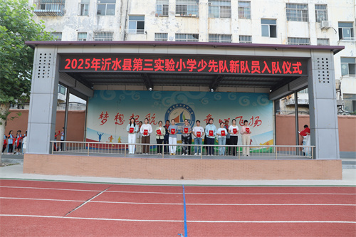 颁发聘书.JPG