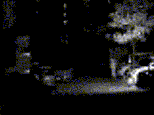 5月29日(1)~1.gif