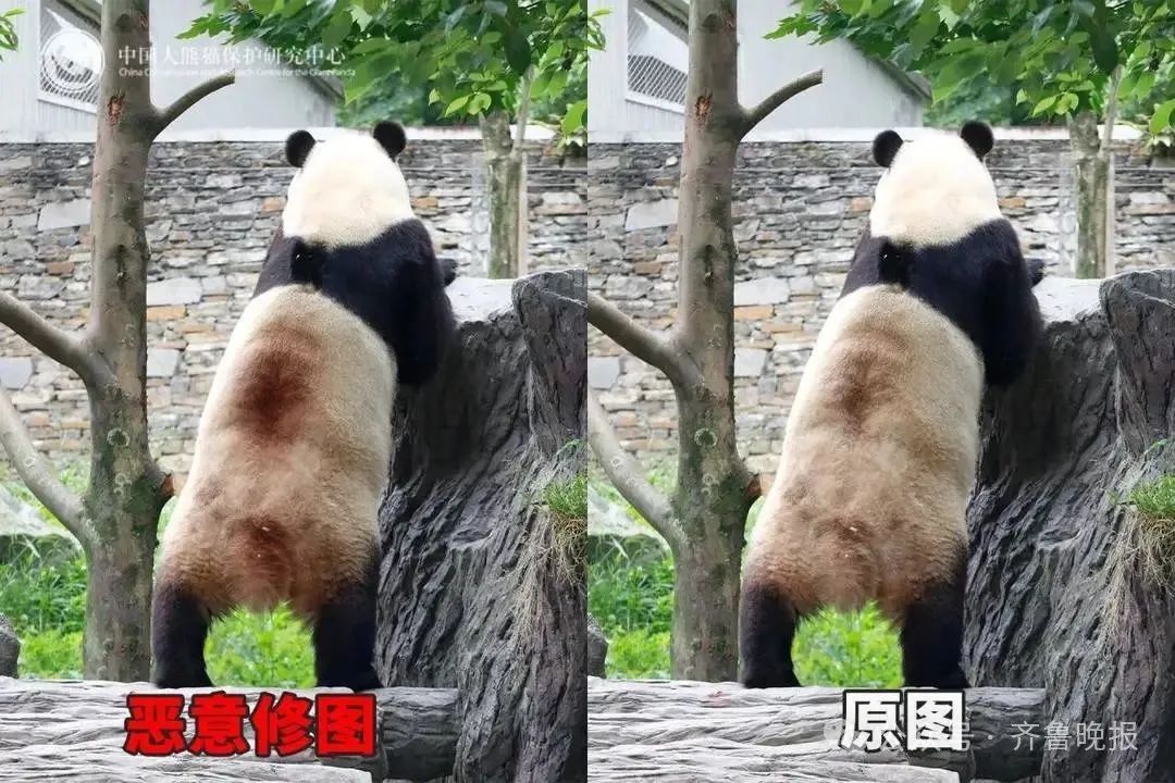 微信图片_20250626094311.jpg
