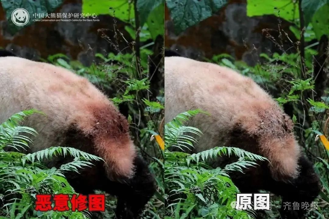微信图片_20250626094316.jpg