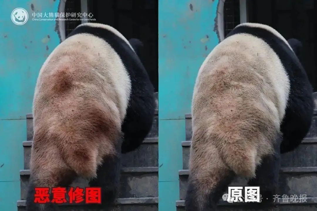 微信图片_20250626094319.jpg