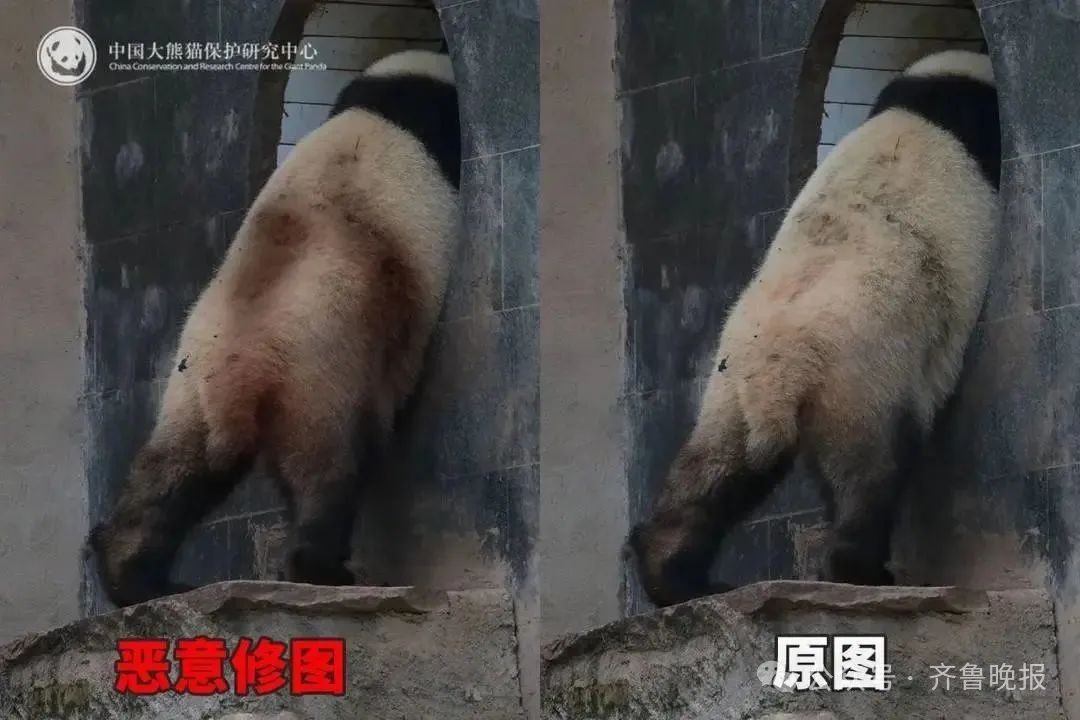 微信图片_20250626094322.jpg