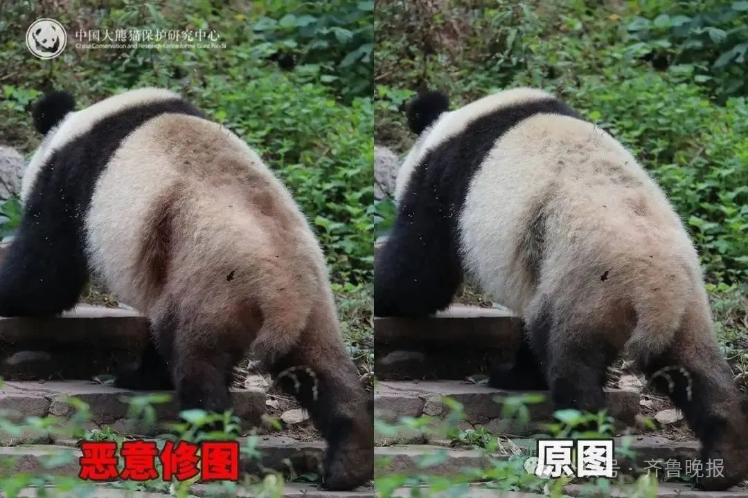微信图片_20250626094324.jpg
