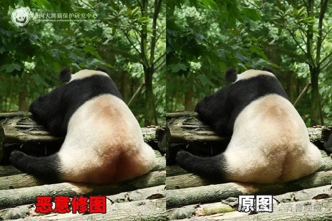 微信图片_20250626094334.jpg