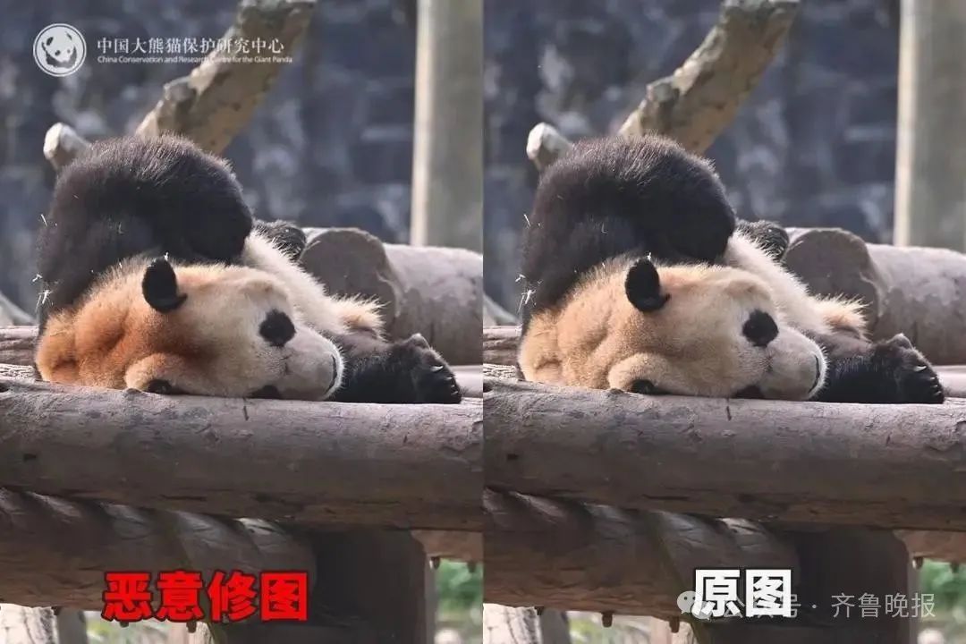 微信图片_20250626094337.jpg