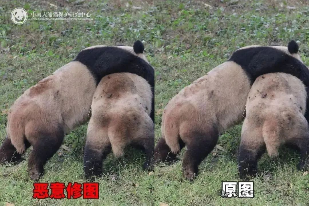 微信图片_20250626094354.jpg