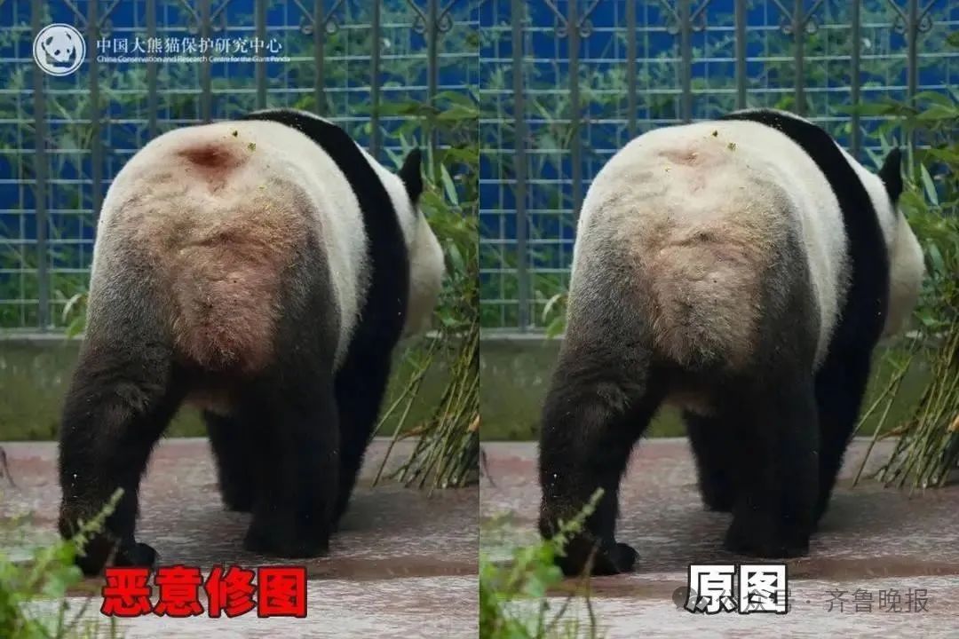 微信图片_20250626094356.jpg