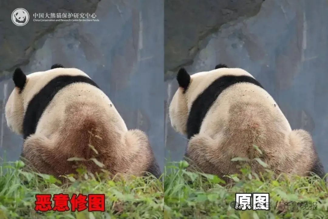 微信图片_20250626094358.jpg