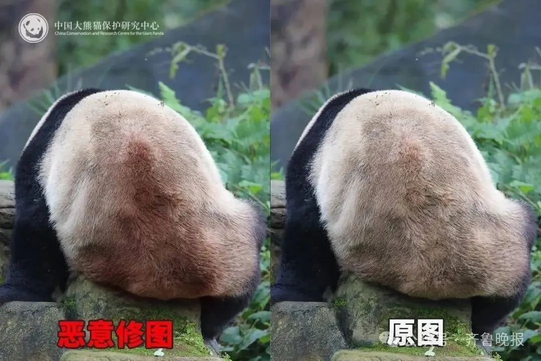微信图片_20250626094400.jpg
