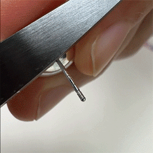 640 (2).gif