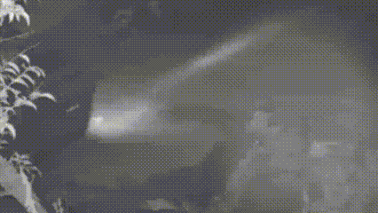 640.gif