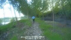 640.gif