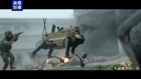 640 (1).gif