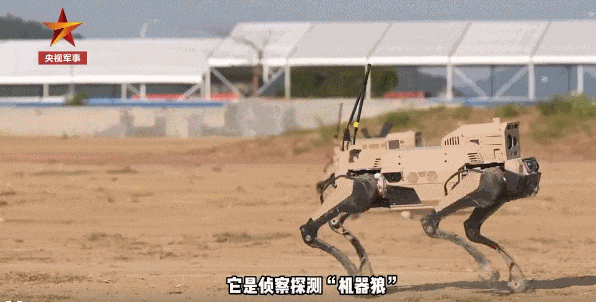 640 (4).gif