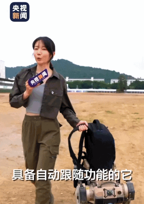 640 (6).gif