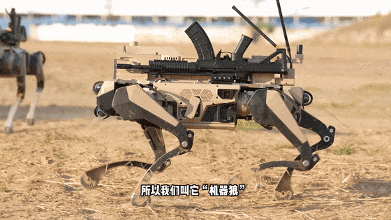 640 (7).gif