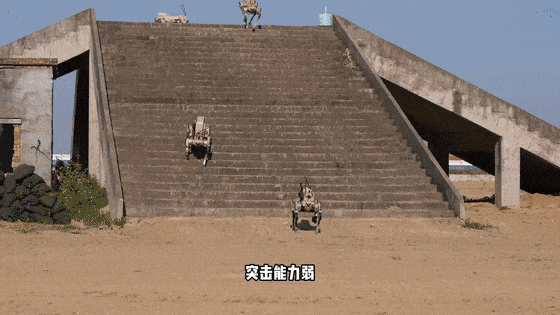 640 (8).gif