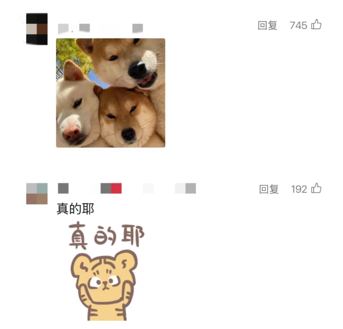 wechat_2025-08-11_092320_966.png
