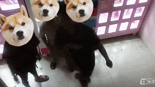 640 (1).gif