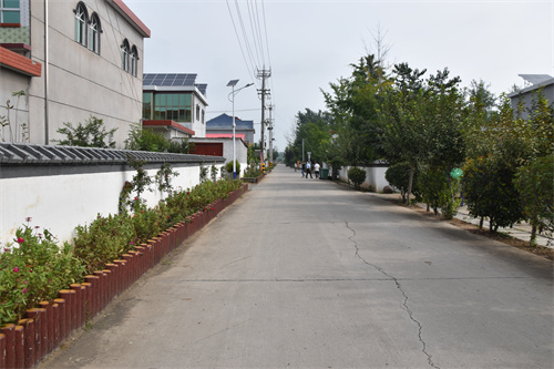 DSC_0040.JPG
