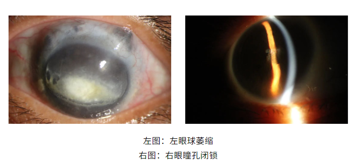 1757906886175996.png image.png