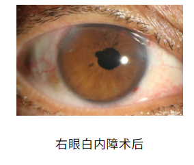 1757906940619710.png image.png