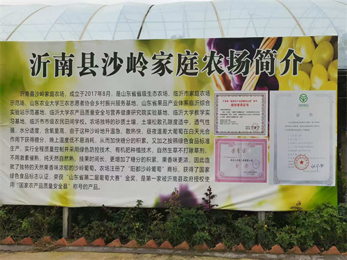 微信图片_20250929143647_912_354.jpg