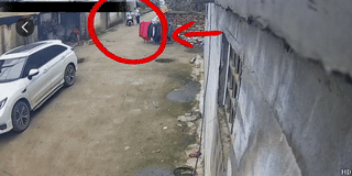 1761701631287558.gif 640.gif